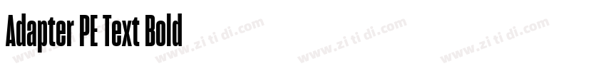 Adapter PE Text Bold字体转换